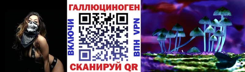наркошоп  Щёлкино  Псилоцибиновые грибы Psilocybe 